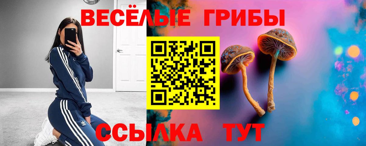 Галлюциногенные грибы мухоморы  цены наркотик  Дзержинск  Вход с VPN  Псилоцибиновые грибы MAGIC MUSHROOMS 